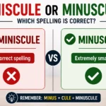 Miniscule or Minuscule spelling comparison showing the correct spelling and meaning of the word.
