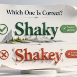 Shakey or Shaky 3D featured image showing the correct spelling in English.