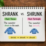 Shrank or Shrunk explained with examples showing the correct past tense and past participle forms of “shrink.”