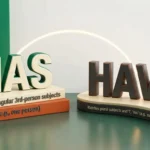 Has or Have grammar difference with examples